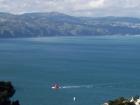 thumbs/NZ_Riki_0859.jpg
