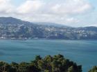 thumbs/NZ_Riki_0860.jpg