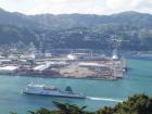 thumbs/NZ_Riki_0861.jpg