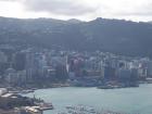 thumbs/NZ_Riki_0862.jpg