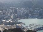 thumbs/NZ_Riki_0863.jpg