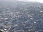thumbs/NZ_Riki_0864.jpg