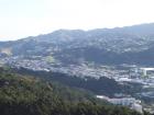 thumbs/NZ_Riki_0866.jpg