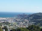 thumbs/NZ_Riki_0868.jpg