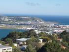 thumbs/NZ_Riki_0869.jpg