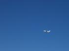thumbs/NZ_Riki_0872.jpg