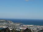 thumbs/NZ_Riki_0873.jpg