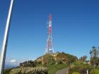 thumbs/NZ_Riki_0877.jpg