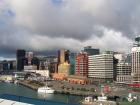 thumbs/NZ_Riki_0880.jpg