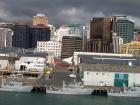 thumbs/NZ_Riki_0884.jpg