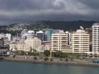 thumbs/NZ_Riki_0885.jpg
