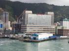 thumbs/NZ_Riki_0886.jpg