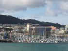 thumbs/NZ_Riki_0887.jpg