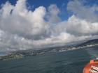 thumbs/NZ_Riki_0893.jpg
