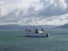 thumbs/NZ_Riki_0897.jpg
