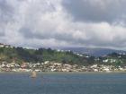 thumbs/NZ_Riki_0898.jpg
