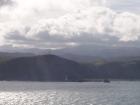 thumbs/NZ_Riki_0900.jpg