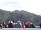 thumbs/NZ_Riki_0906.jpg