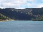 thumbs/NZ_Riki_0907.jpg