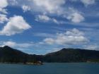 thumbs/NZ_Riki_0910.jpg