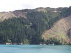 thumbs/NZ_Riki_0911.jpg