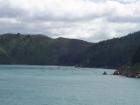 thumbs/NZ_Riki_0912.jpg