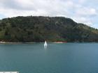 thumbs/NZ_Riki_0915.jpg