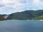 thumbs/NZ_Riki_0917.jpg
