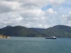 thumbs/NZ_Riki_0920.jpg