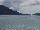 thumbs/NZ_Riki_0922.jpg