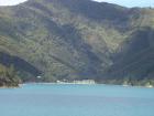 thumbs/NZ_Riki_0923.jpg