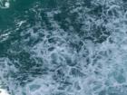 thumbs/NZ_Riki_0925.jpg