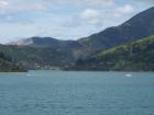 thumbs/NZ_Riki_0926.jpg