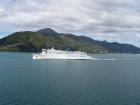 thumbs/NZ_Riki_0927.jpg