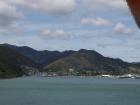 thumbs/NZ_Riki_0931.jpg