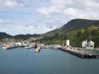 thumbs/NZ_Riki_0933.jpg