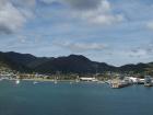 thumbs/NZ_Riki_0934.jpg