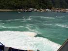 thumbs/NZ_Riki_0936.jpg