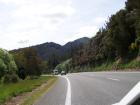 thumbs/NZ_Riki_0940.jpg