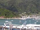 thumbs/NZ_Riki_0941.jpg