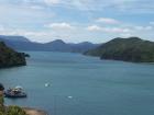 thumbs/NZ_Riki_0942.jpg