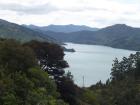 thumbs/NZ_Riki_0943.jpg