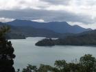 thumbs/NZ_Riki_0944.jpg