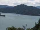 thumbs/NZ_Riki_0945.jpg