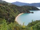 thumbs/NZ_Riki_0947.jpg