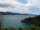 thumbs/NZ_Riki_0948.jpg