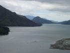 thumbs/NZ_Riki_0950.jpg