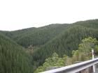 thumbs/NZ_Riki_0953.jpg