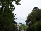 thumbs/NZ_Riki_0971.jpg