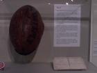 thumbs/NZ_Riki_0985.jpg